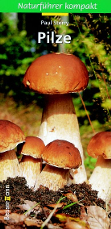 Naturführer kompakt: Pilze