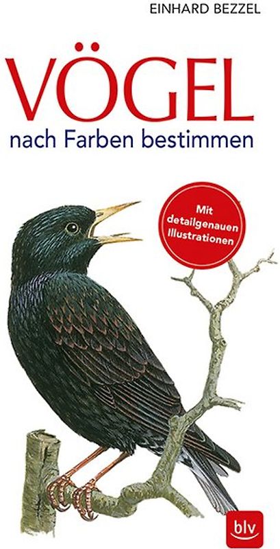 Vögel nach Farben bestimmen