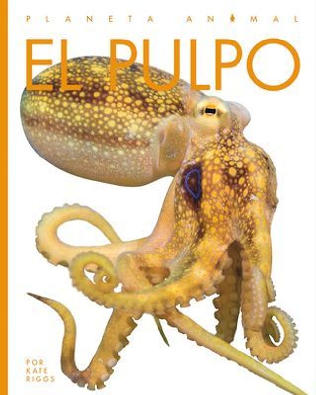 El Pulpo