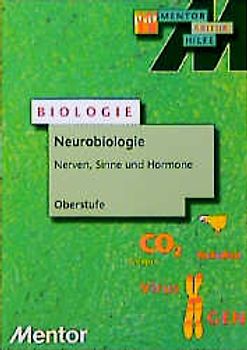 Nerven, Sinne, Hormone