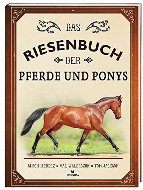 Das Riesenbuch der Pferde und Ponys