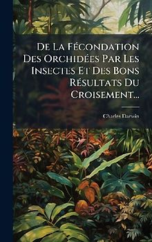 De La FÃ(c)condation Des OrchidÃ(c)es Par Les Insectes Et Des Bons RÃ(c)sultats Du Croisement...