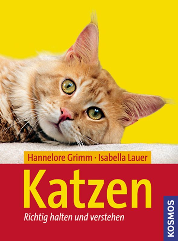 Katzen