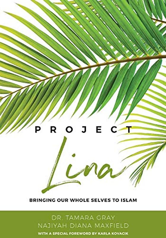 Project Lina (Royal Diaries)