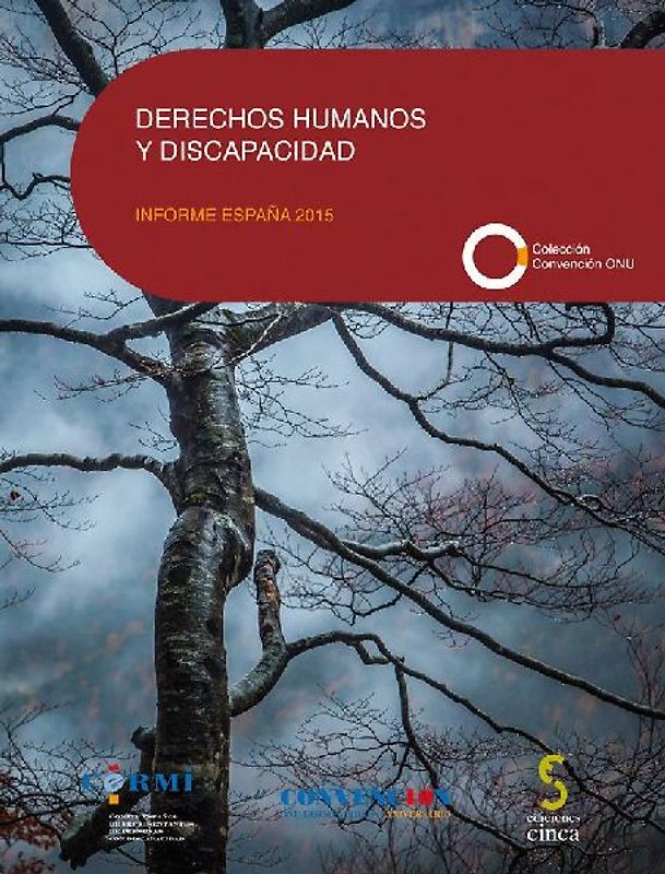 Derechos humanos y discapacidad : informe España 2015