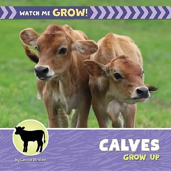 Calves Grow Up