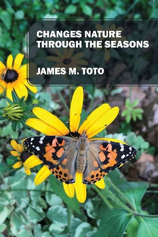 Changes Nature Through the Seasons