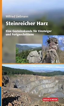 Steinreicher Harz
