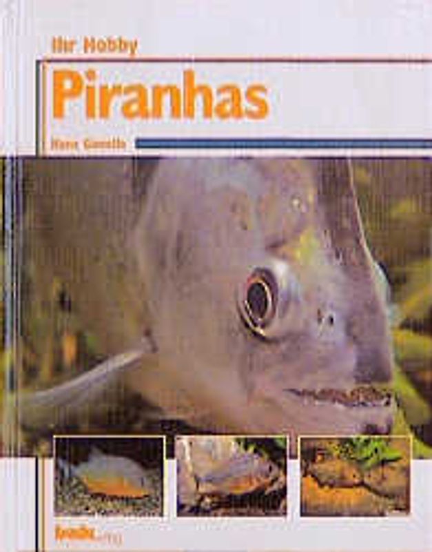 Ihr Hobby Piranhas