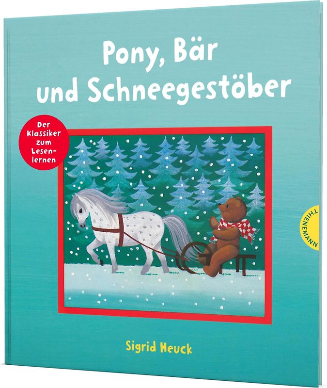 Pony, Bär und Schneegestöber