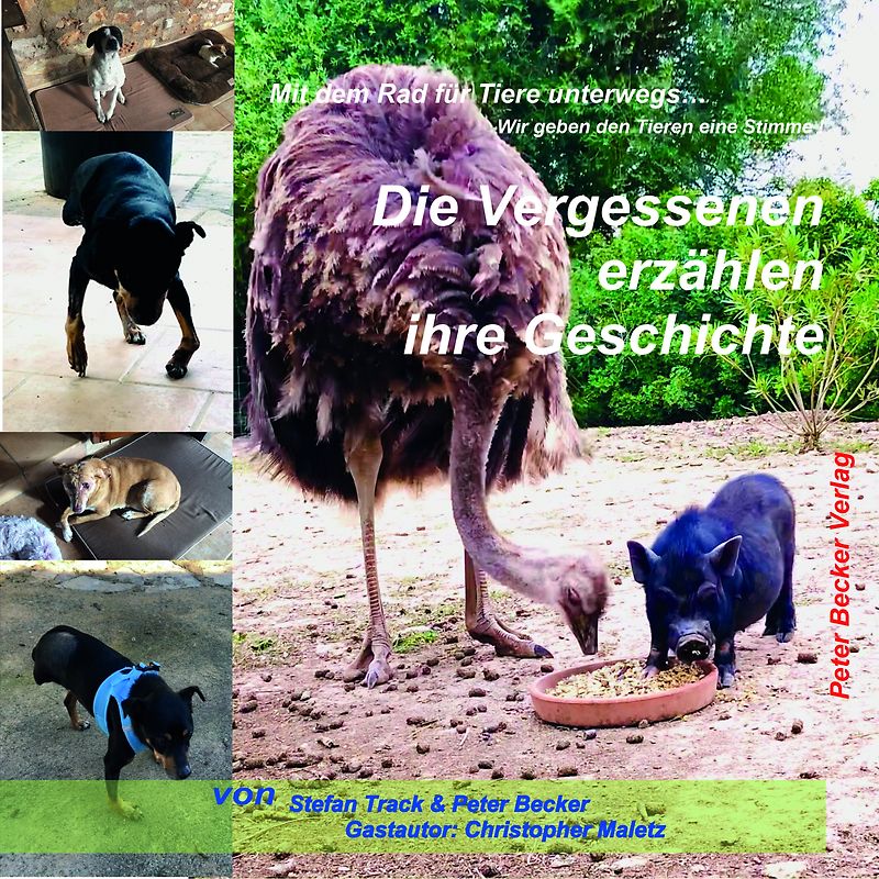 Die Vergessenen erzählen ihre Geschichte