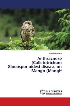 Anthracnose (Colletotrichum Gloeosporioides) disease on Mango (Mangif