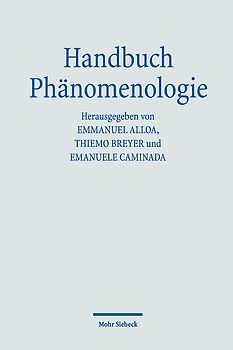 Handbuch Phänomenologie