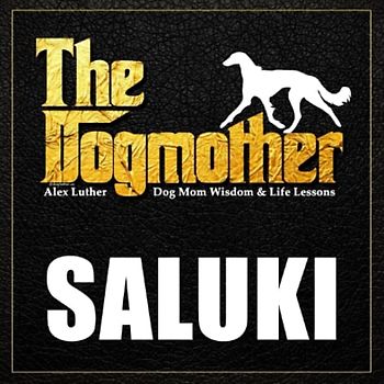 The Dogmother: Saluki: (Dog Mom Wisdom & Life Lessons)