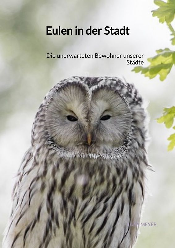 Eulen in der Stadt