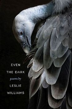Even the Dark
