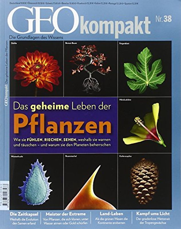 GEO kompakt / GEOkompakt 38/2014 - Pflanzen