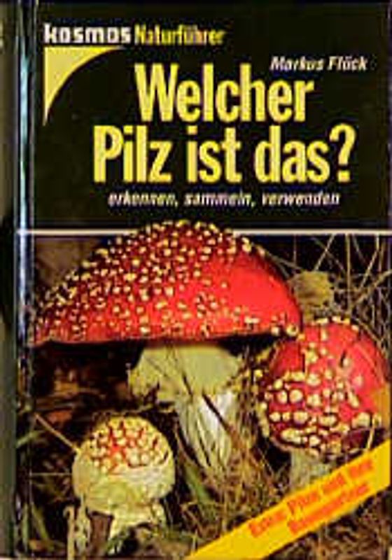 Welcher Pilz ist das?. Pilze und ihre Baumpartner