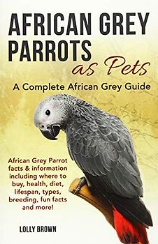 African Grey Parrots as Pets: African Grey Parrot facts & information including where to buy, health, diet, lifespan, types, breeding, fun facts and more! A Complete African Grey Guide