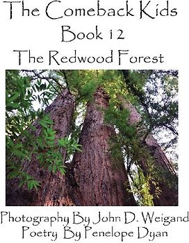 The Comeback Kids, Book 12, the Redwood Forest