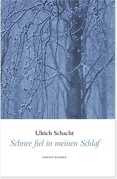 Schnee fiel in meinen Schlaf