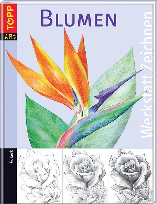 Werkstatt Zeichnen: Blumen