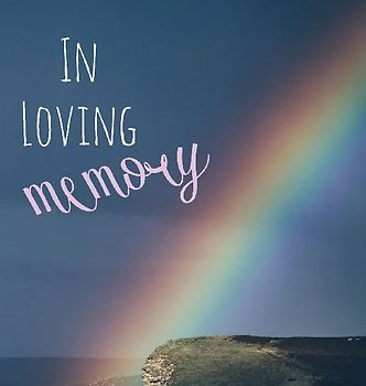 In Loving Memory Funeral Guest Book, Celebration of Life, Wake, Loss, Memorial Service, Condolence Book, Church, Funeral Home, Thoughts and In Memory Guest Book (Hardback)