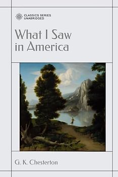 What I Saw in America