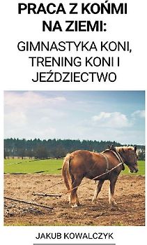 Praca z Końmi na Ziemi