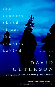 The Country Ahead of Us, The Country Behind (Vintage Contemporaries)