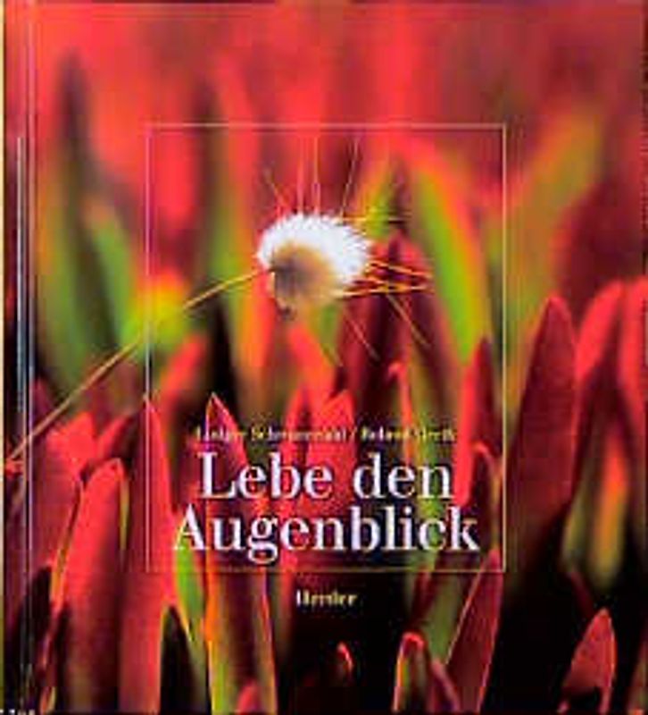 Lebe den Augenblick