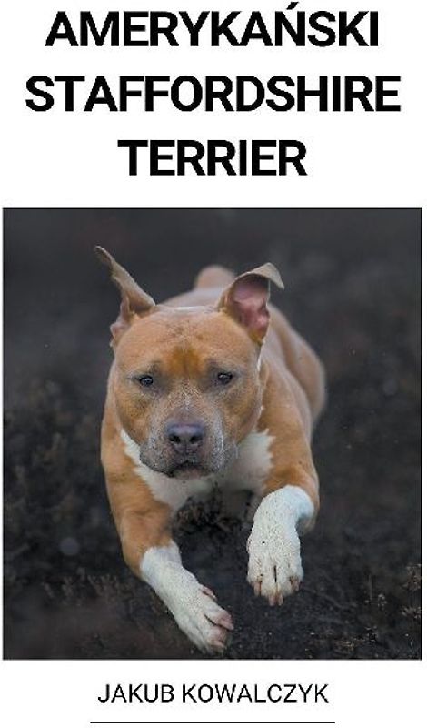Amerykański Staffordshire Terrier