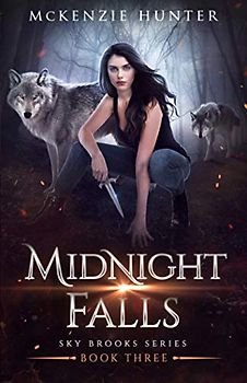 Midnight Falls (Sky Brooks Series, Band 3)