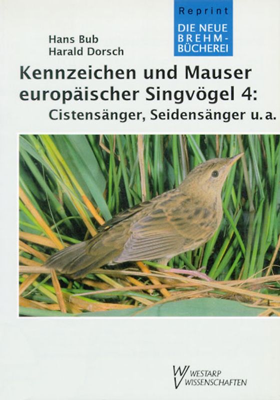 Kennzeichen und Mauser europäischer Singvögel / Kennzeichen und Mauser europäischer Singvögel 4