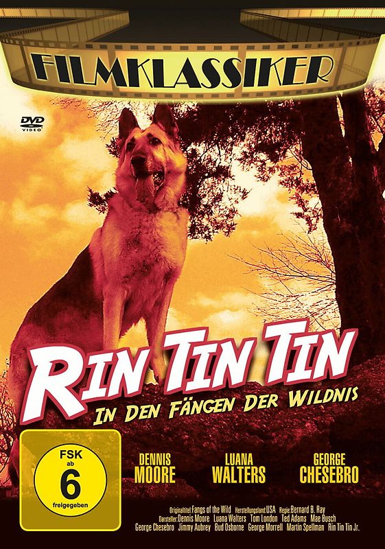 Rin Tin Tin - In den Fängen der Wildnis DVD