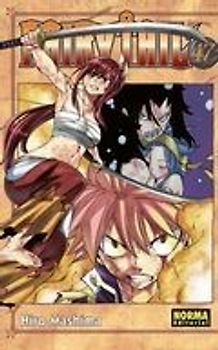 Fairy tail 47