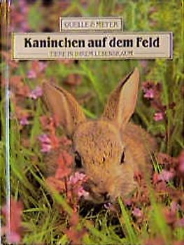 Kaninchen auf dem Felde