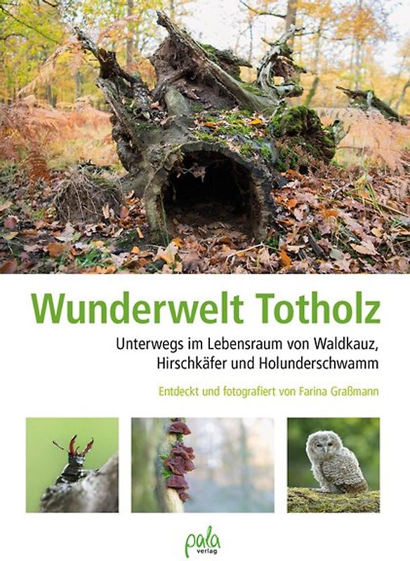 Wunderwelt Totholz