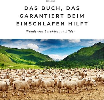 Das Buch, das garantiert beim Einschlafen hilft