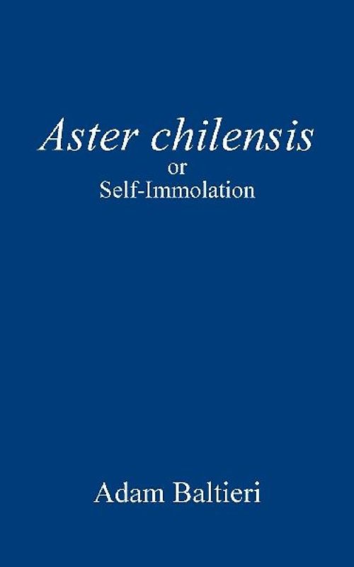 Aster chilensis