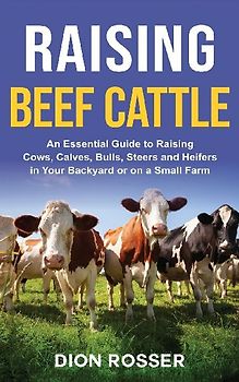 Raising Beef Cattle