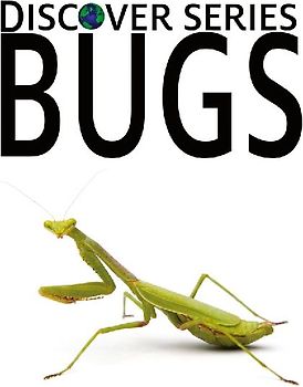 Bugs