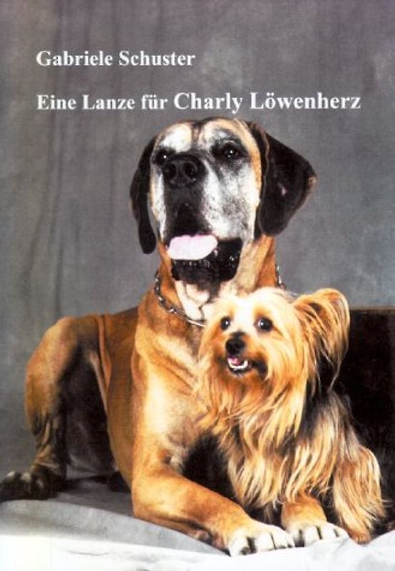 Eine Lanze für Charly Löwenherz