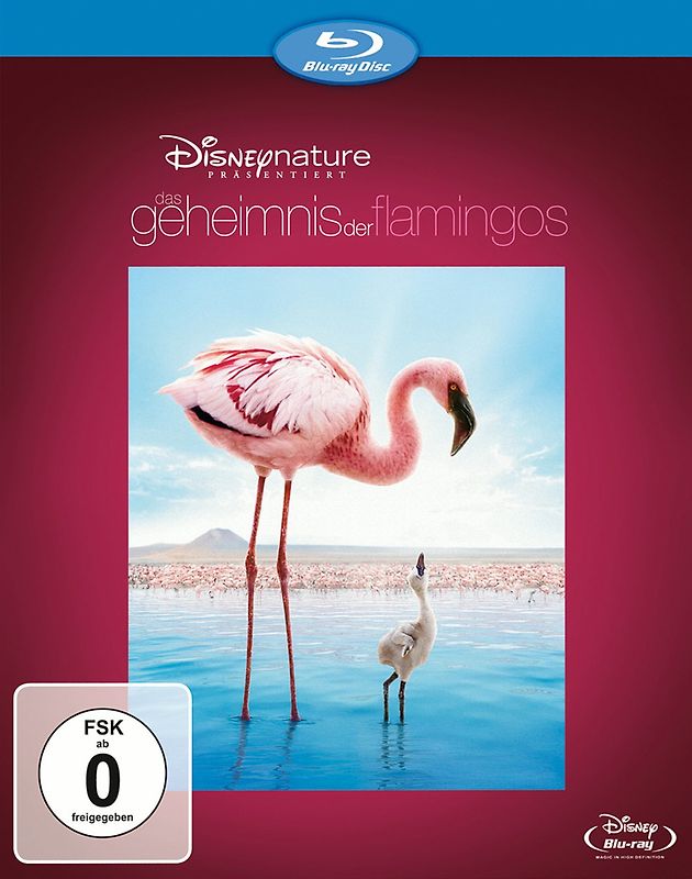 Das Geheimnis der Flamingos Blu-ray Disc