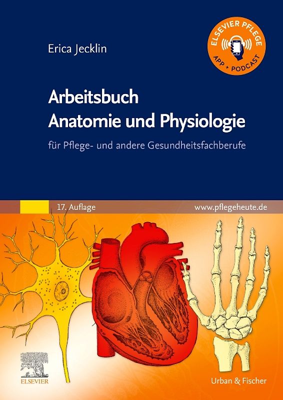 Arbeitsbuch Anatomie und Physiologie