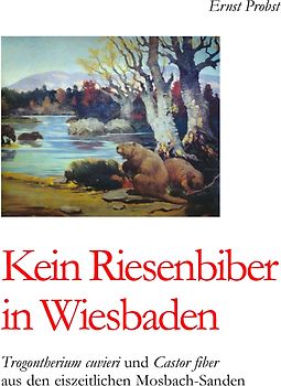 Kein Riesenbiber in Wiesbaden