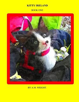 KITTY IRELAND BOOK ONE