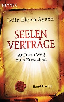 Seelenverträge. Band 2 & 3: Auf dem Weg zum Erwachen