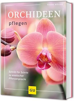 Orchideen pflegen