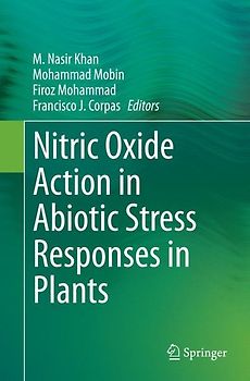 Nitric Oxide Action in Abiotic Stress Responses in Plants